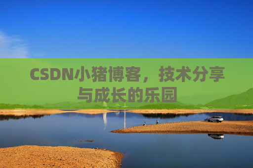 CSDN小猪博客，技术分享与成长的乐园